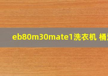 eb80m30mate1洗衣机 桶清洁